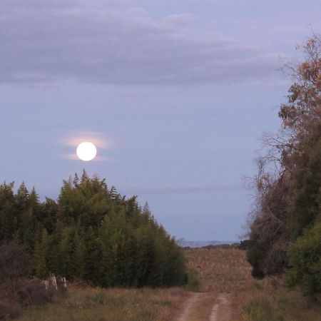 Isla Patrulla El Rancho De Chispero 아파트 외부 사진